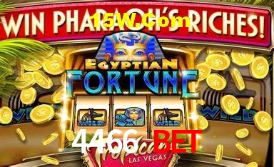 Desvendando o Mundo dos Jogos Virtuais na 4466 Bet